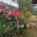 Hébergement de vacances Chata Pod Mogielica - Klimatyczny Dom Na Wylacznosc Z Ogrodem I Widokiem Na Gory *
