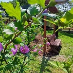 Chata Pod Mogielica - Klimatyczny Dom Na Wylacznosc Z Ogrodem I Widokiem Na Gory * Slopnice