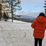 Chata Pod Mogielica - Klimatyczny Dom Na Wylacznosc Z Ogrodem I Widokiem Na Gory Hébergement de vacances