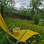 Hébergement de vacances Chata Pod Mogielica - Klimatyczny Dom Na Wylacznosc Z Ogrodem I Widokiem Na Gory *