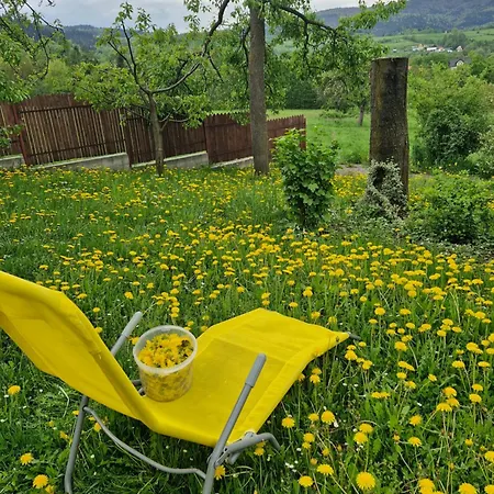 Pod Mogielica Komfortowe Z Widokiem Na Mogielice 1000m Od Tras Wokol Gory Mogielica *