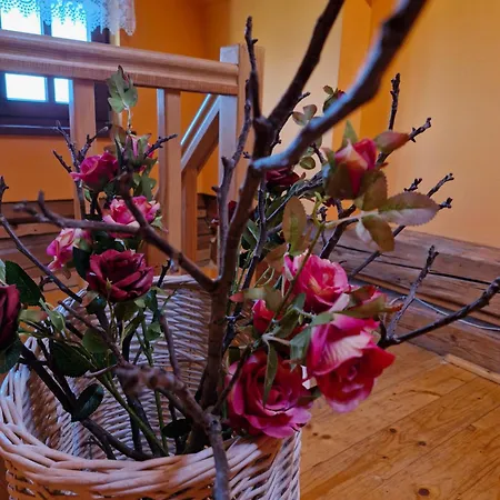 Ferienhaus Chata Pod Mogielica - Klimatyczny Dom Na Wylacznosc Z Ogrodem I Widokiem Na Gory Slopnice