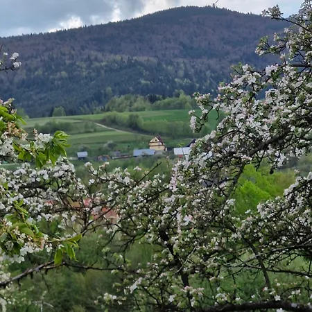 Ferienhaus Chata Pod Mogielica - Klimatyczny Dom Na Wylacznosc Z Ogrodem I Widokiem Na Gory